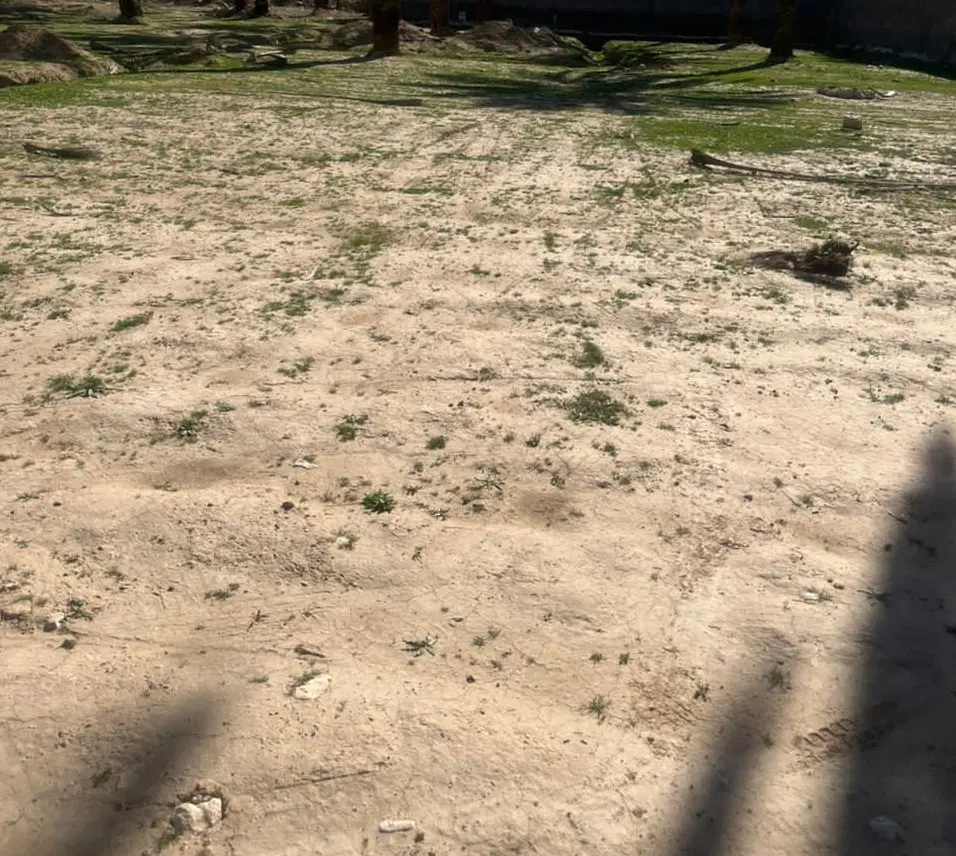 زمین بهاران دوکله نقشوار