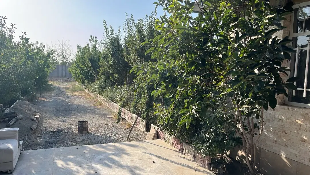 باغ و باغچه