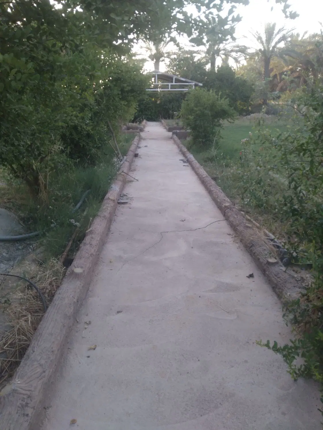 یک هکتارزمین کشاورزی