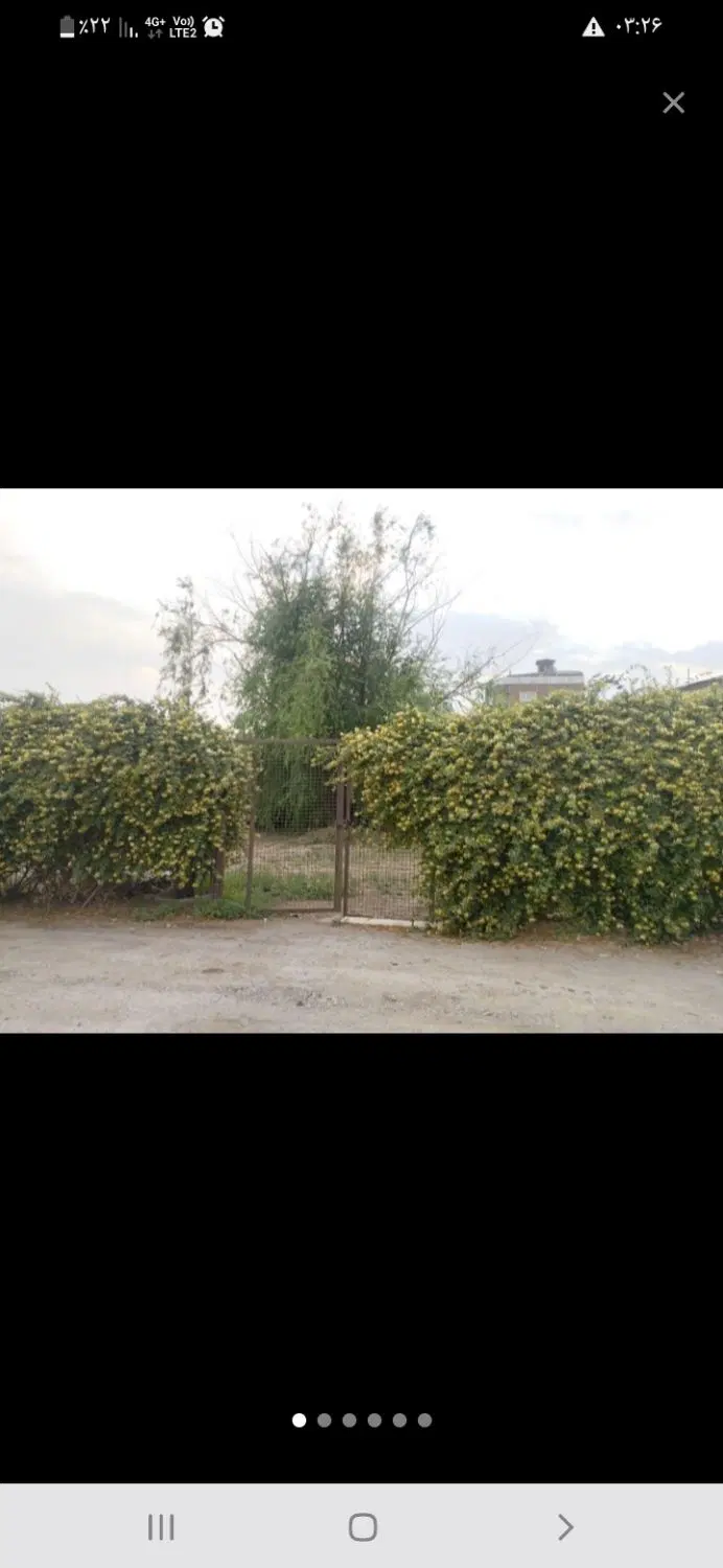 زمین کلنگی