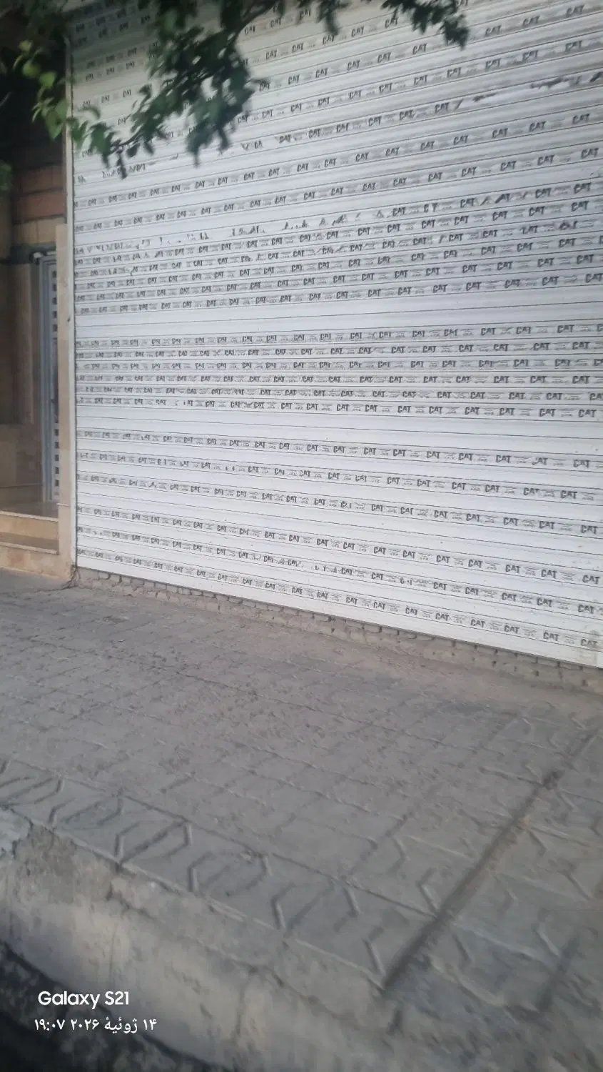 مغازه تجاری واقع در جامی جنوبی