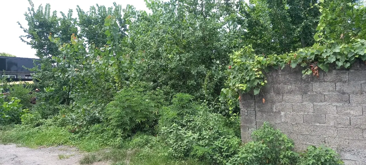 زمین ویلایی