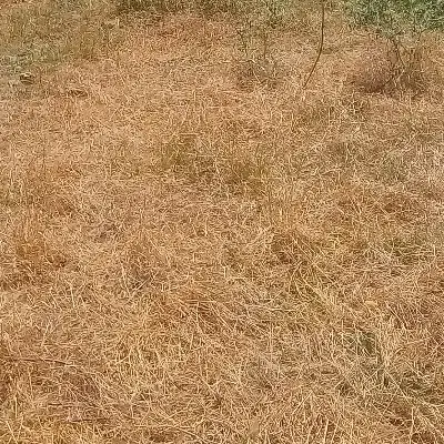130متر زمین روستای رضی