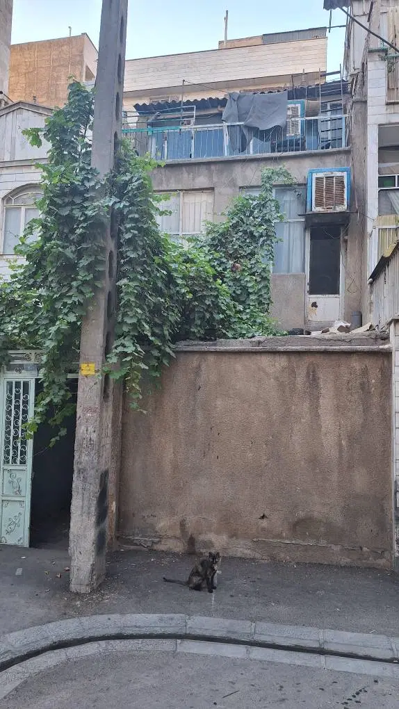 خانه کلنگی 3طبقه