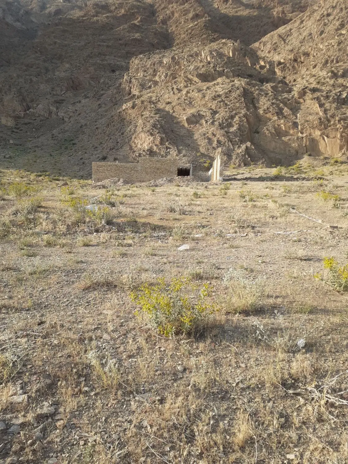 زمین 160 متری 2 بر