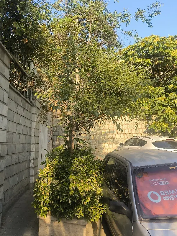 اتوبان ارتش شهرک گلها
