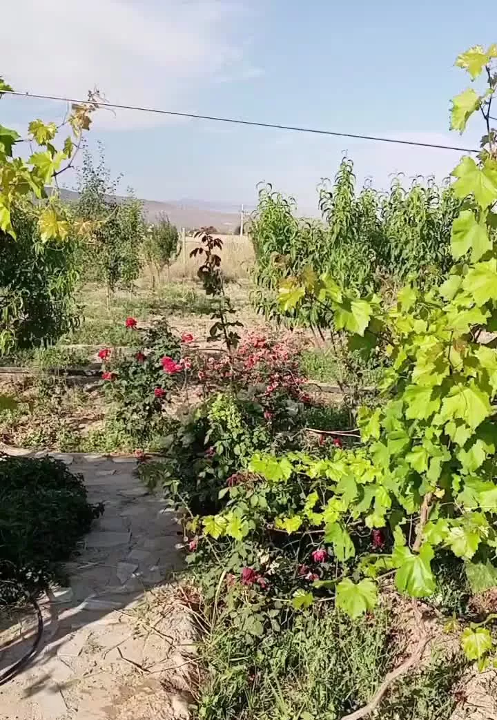باغ شهر همراه با اب مالکی با اجازه ساخت