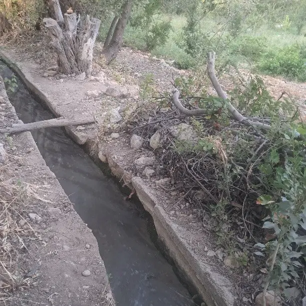 باغ