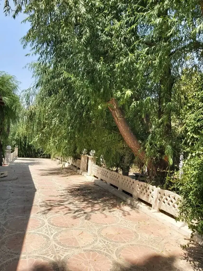 فورش باغ ویلا