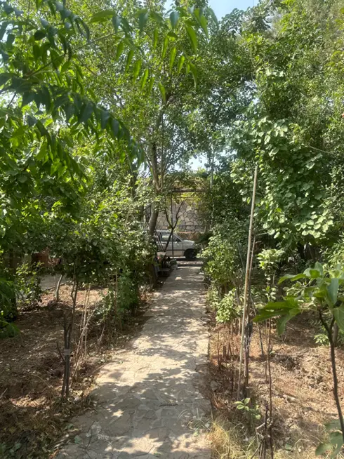 باغ زمین ویلا کوهپایه