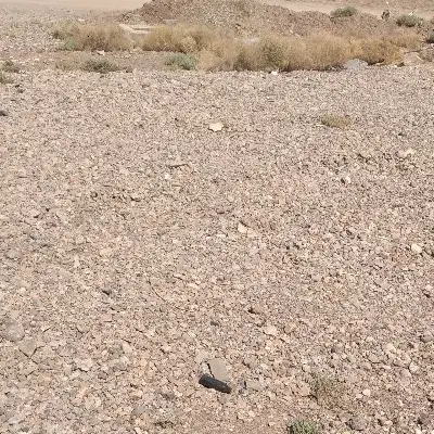 زمین مسکونی ۳۹۰ متر