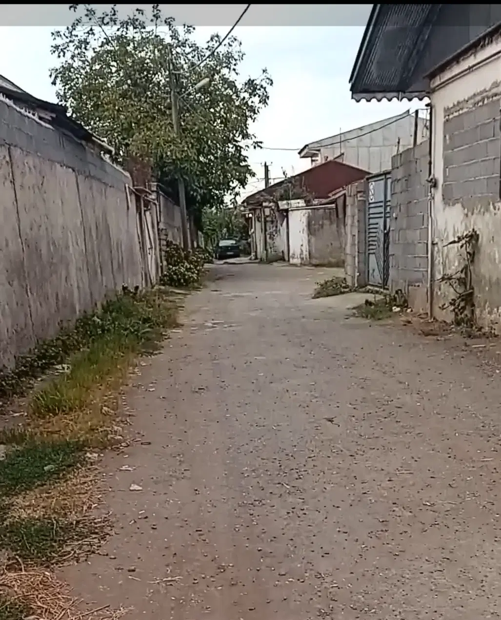 زمین ۱۰۰متری