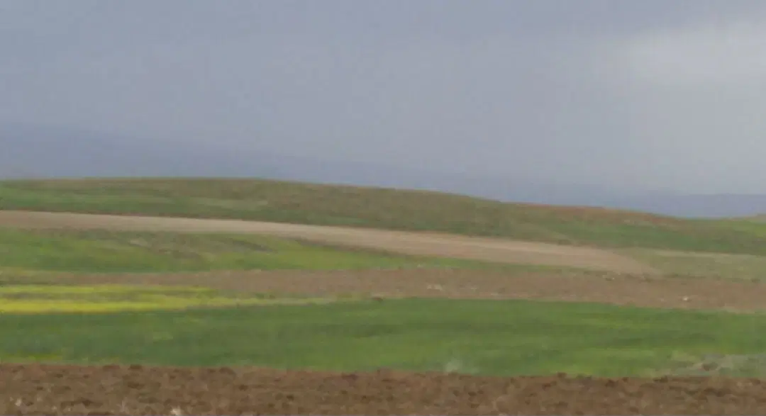 فروش زمین زارعی