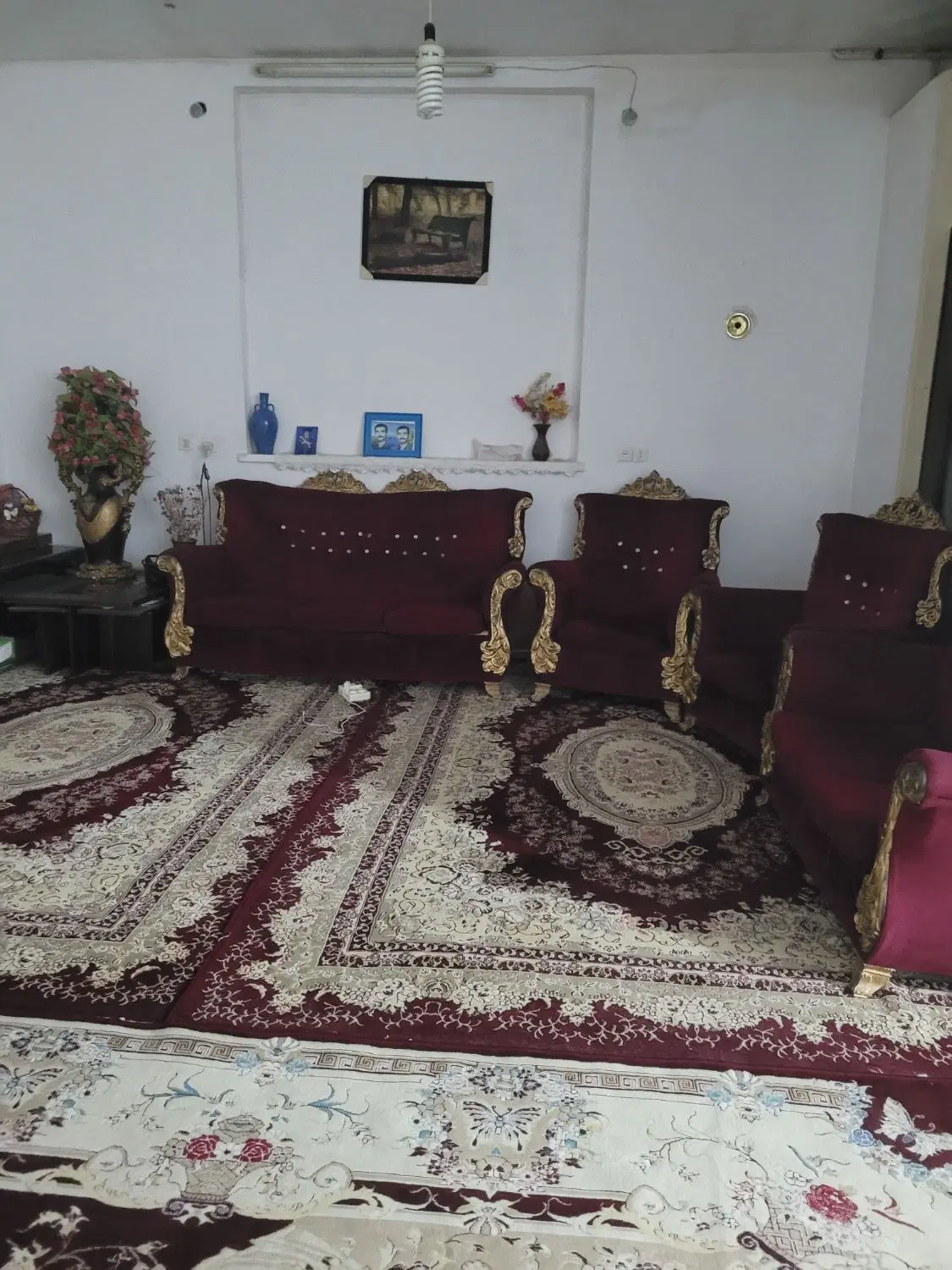 اجاره زیرزمین گلخانه‌ای
