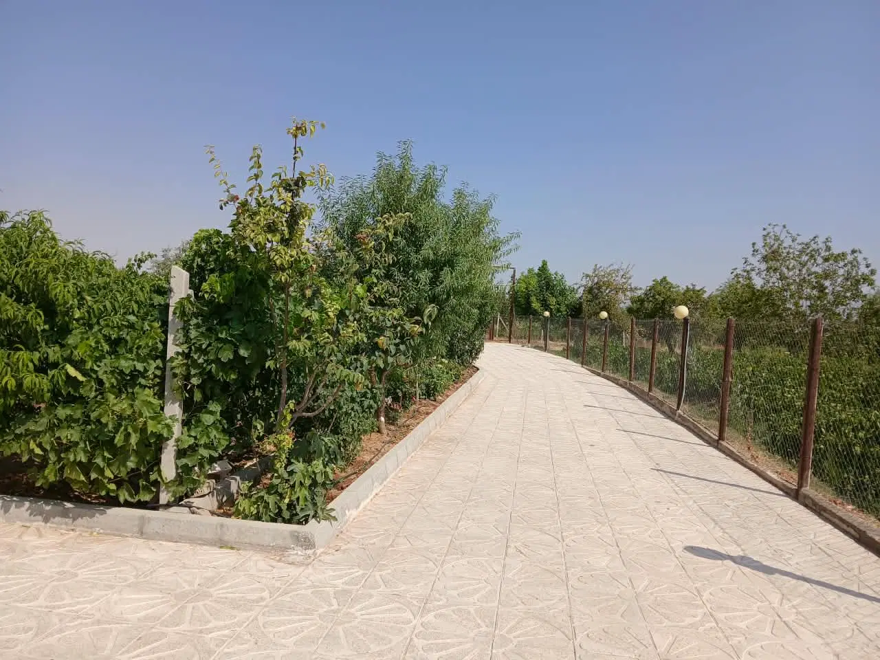 فروش باغ در شهر ابهر