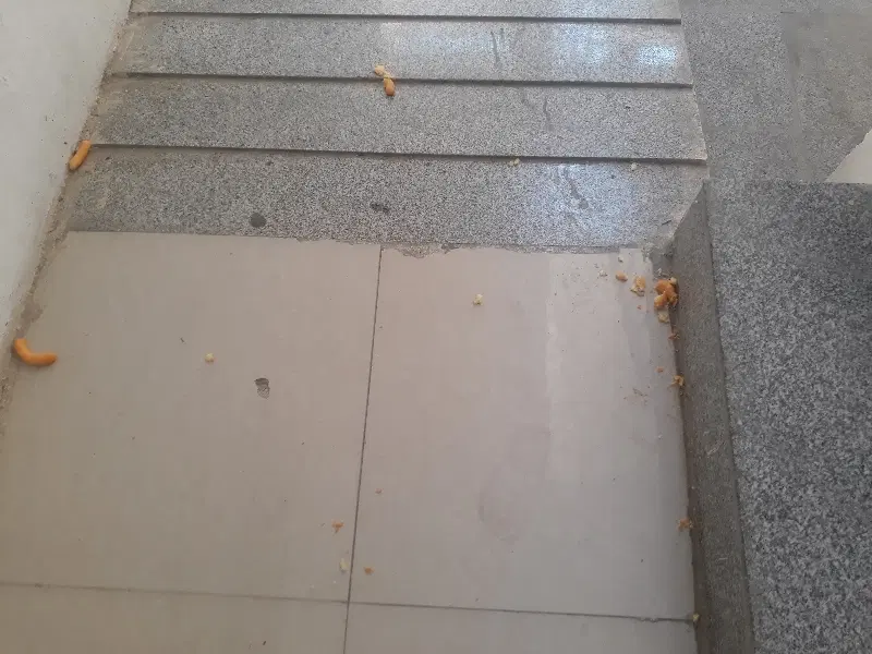 منزل مسکونی حیاط دار .رهن .اجاره.