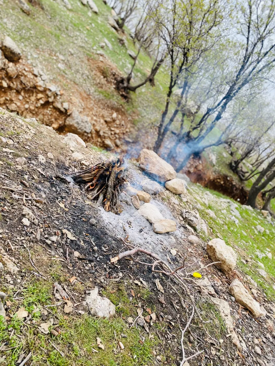 زمین خوران