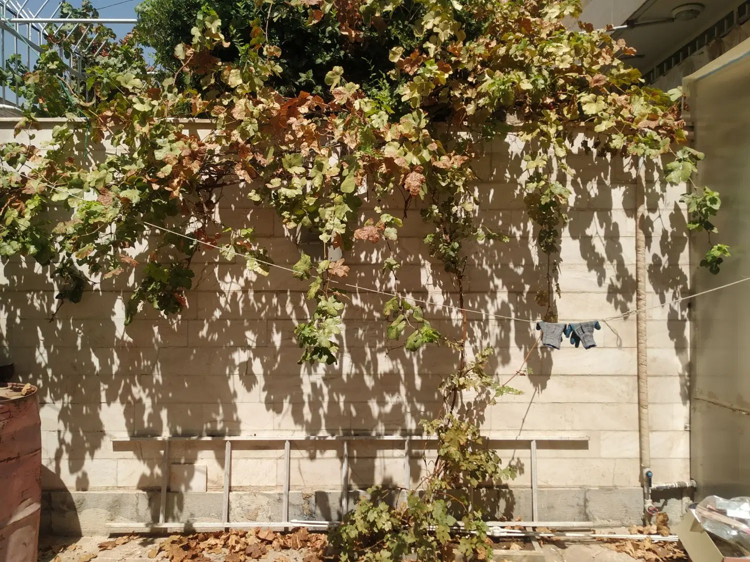 فروش منزل ویلای