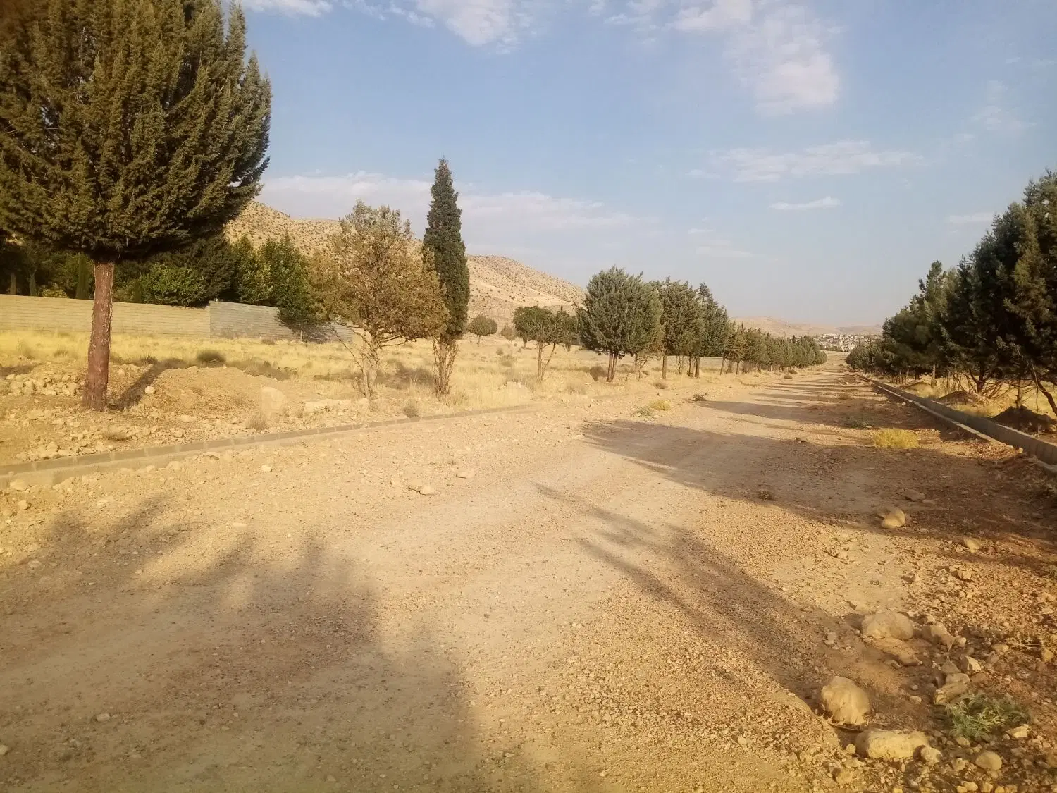 زمین قصر سبز، تعاونی منابع طبیعی، نیاوران