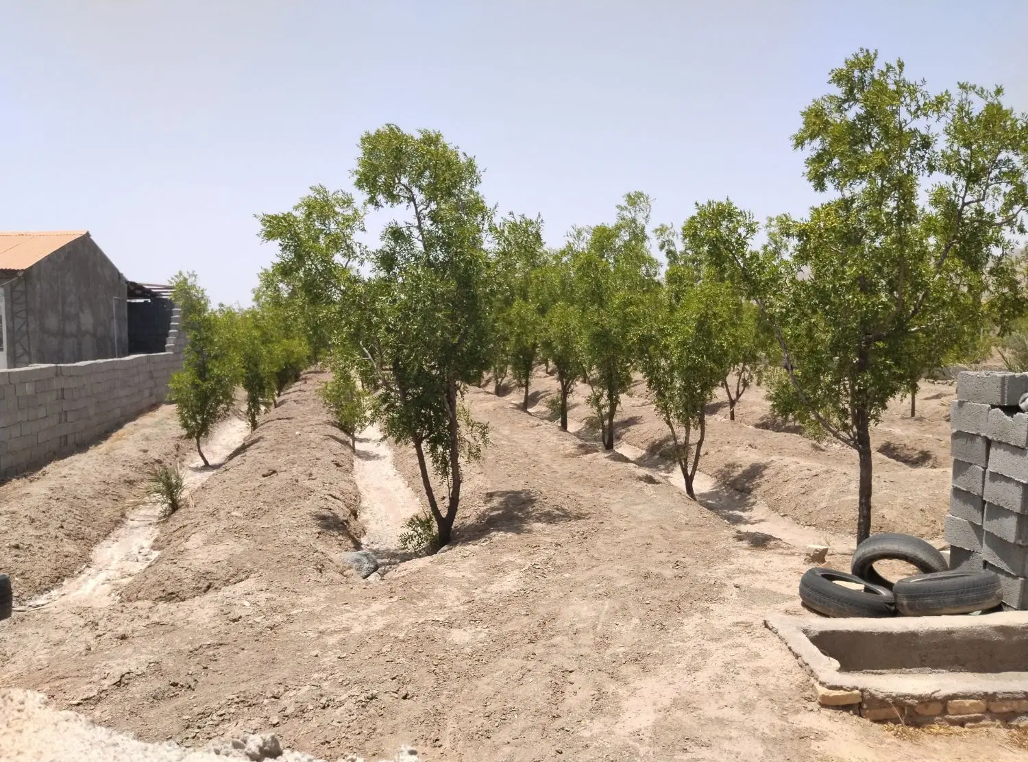 باغ حصار شده حدود۲۰۰۰متر چاه زینی