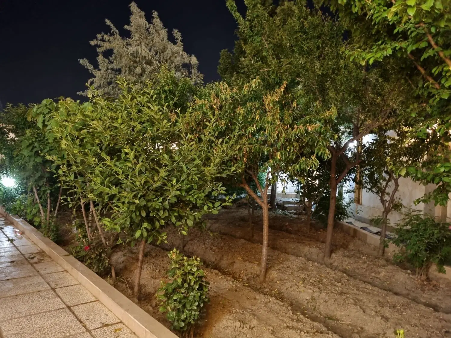 باغ با درختان 20 ساله فروشی