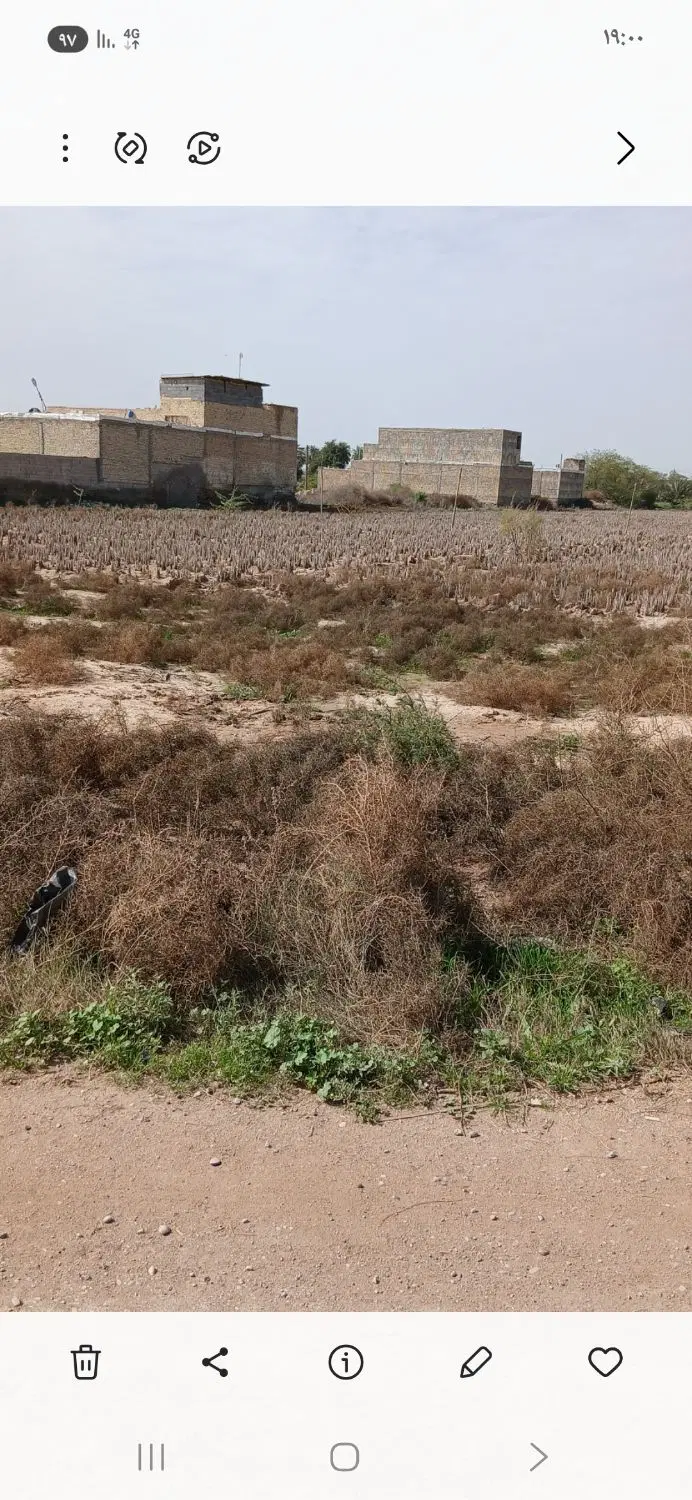 زمین مسکونی در حمیدیه