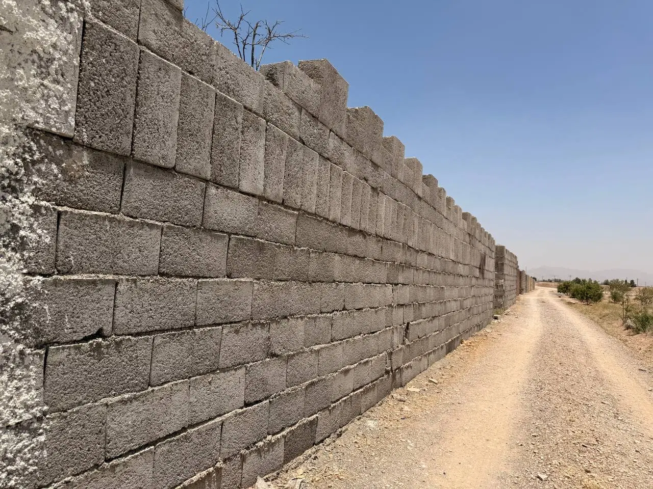 فروش زمین باغی