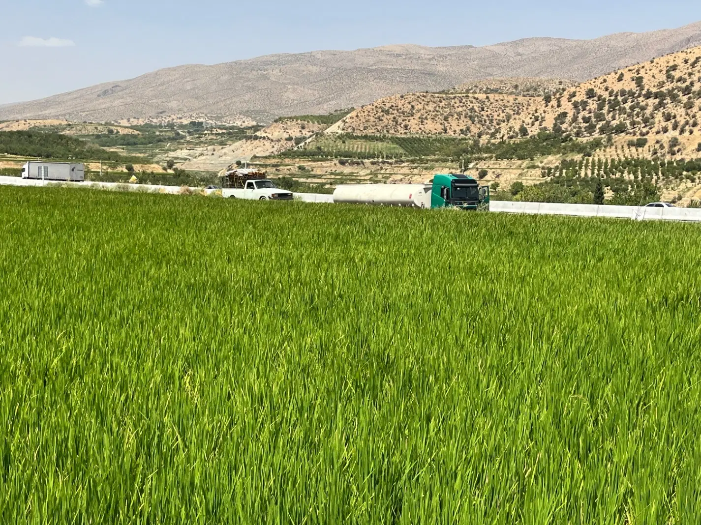 فروش فوری زمین 1000 متری خوش موقعیت با سند تک برگ
