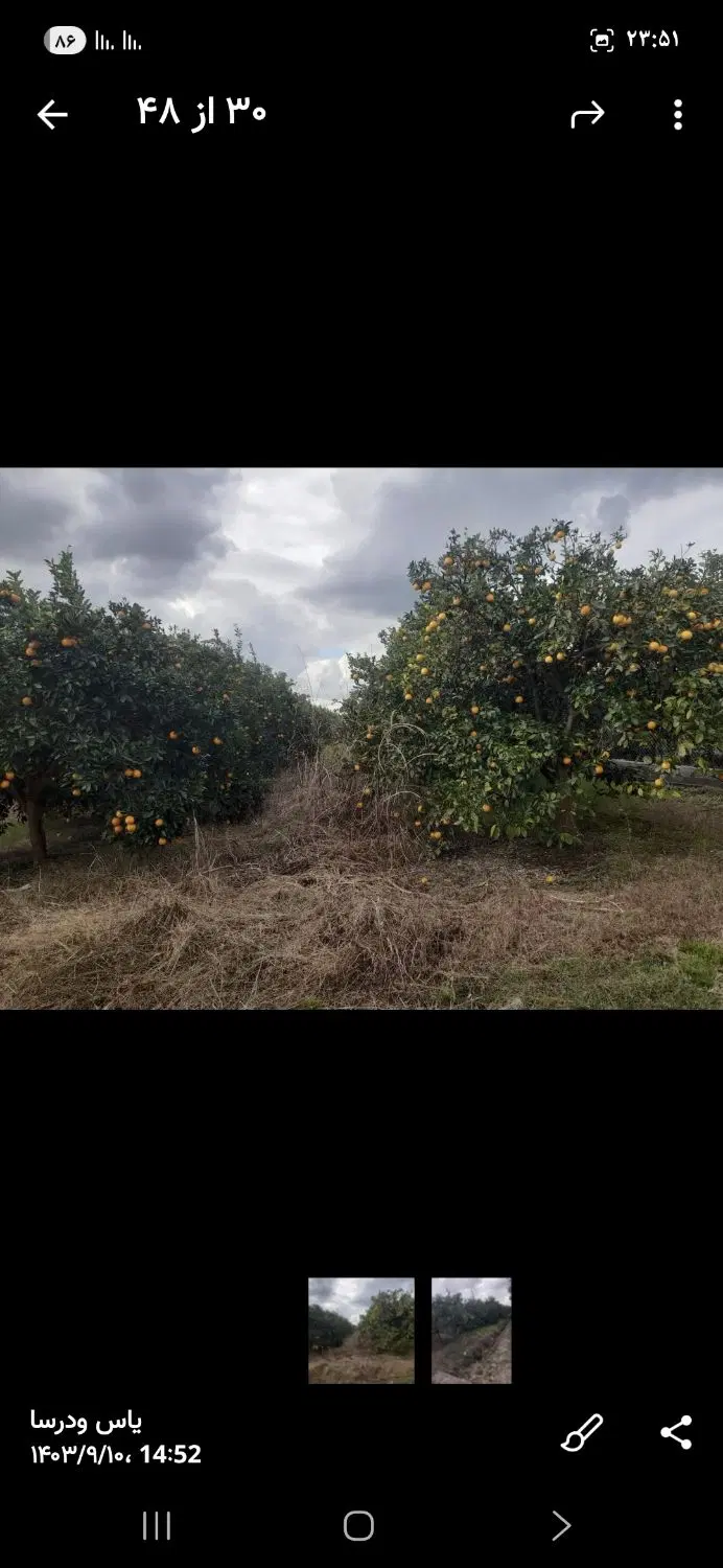 زمین باغی قایمشهر کیاکلافوتم ۲۷۰متر