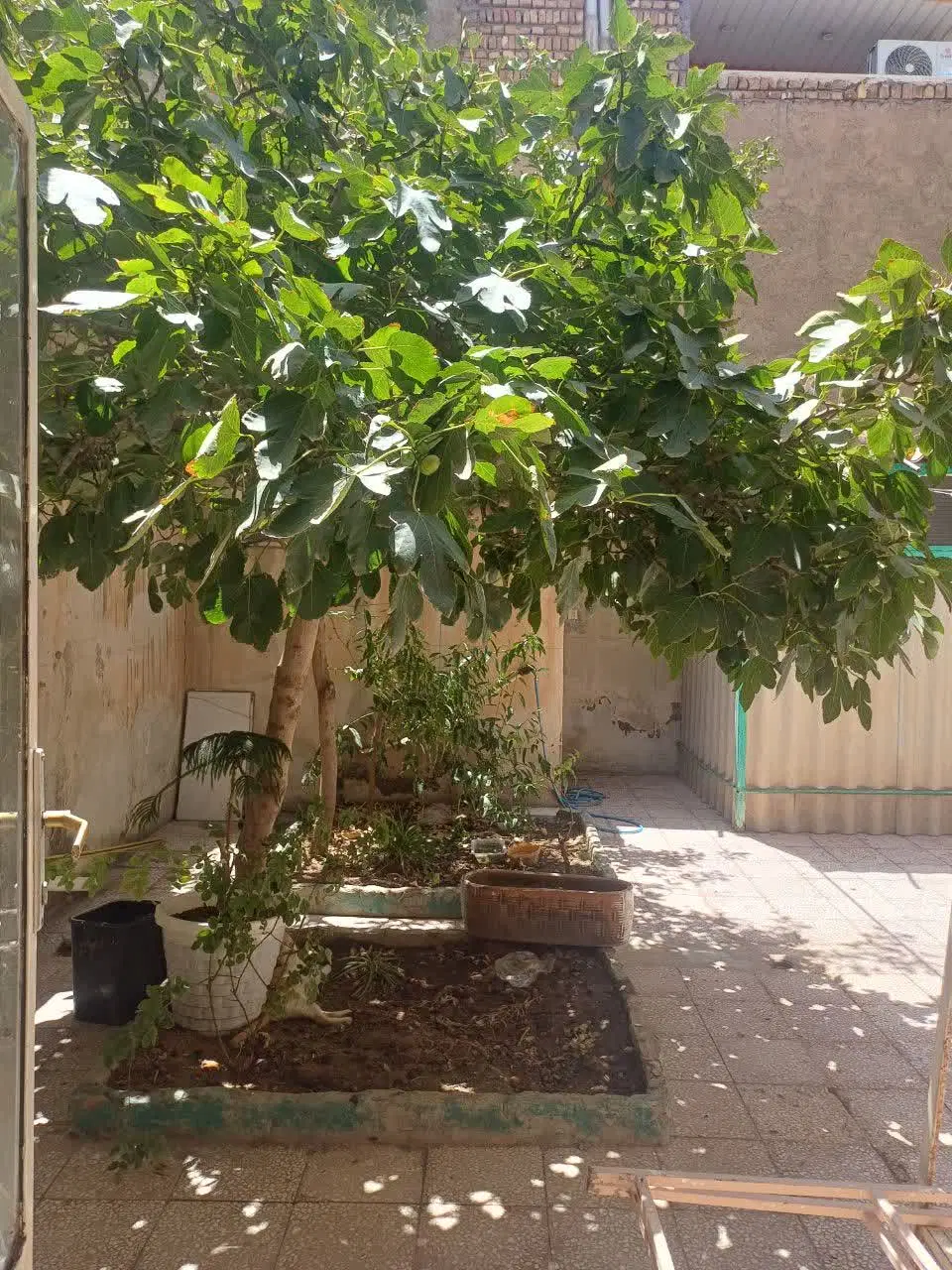 منزل 200 متری 4 واحدی