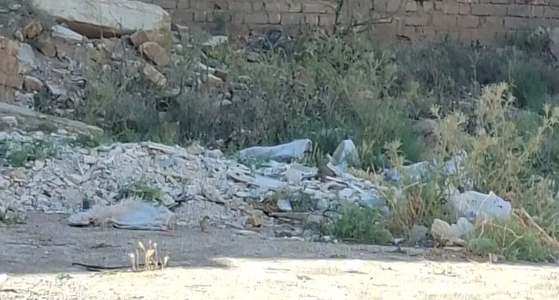 زمین کرونی سیدالشهدا