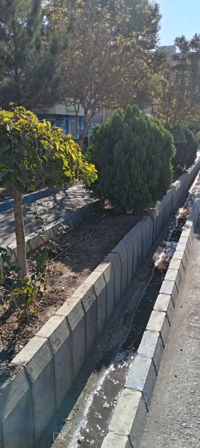 دو خواب فرزانگان