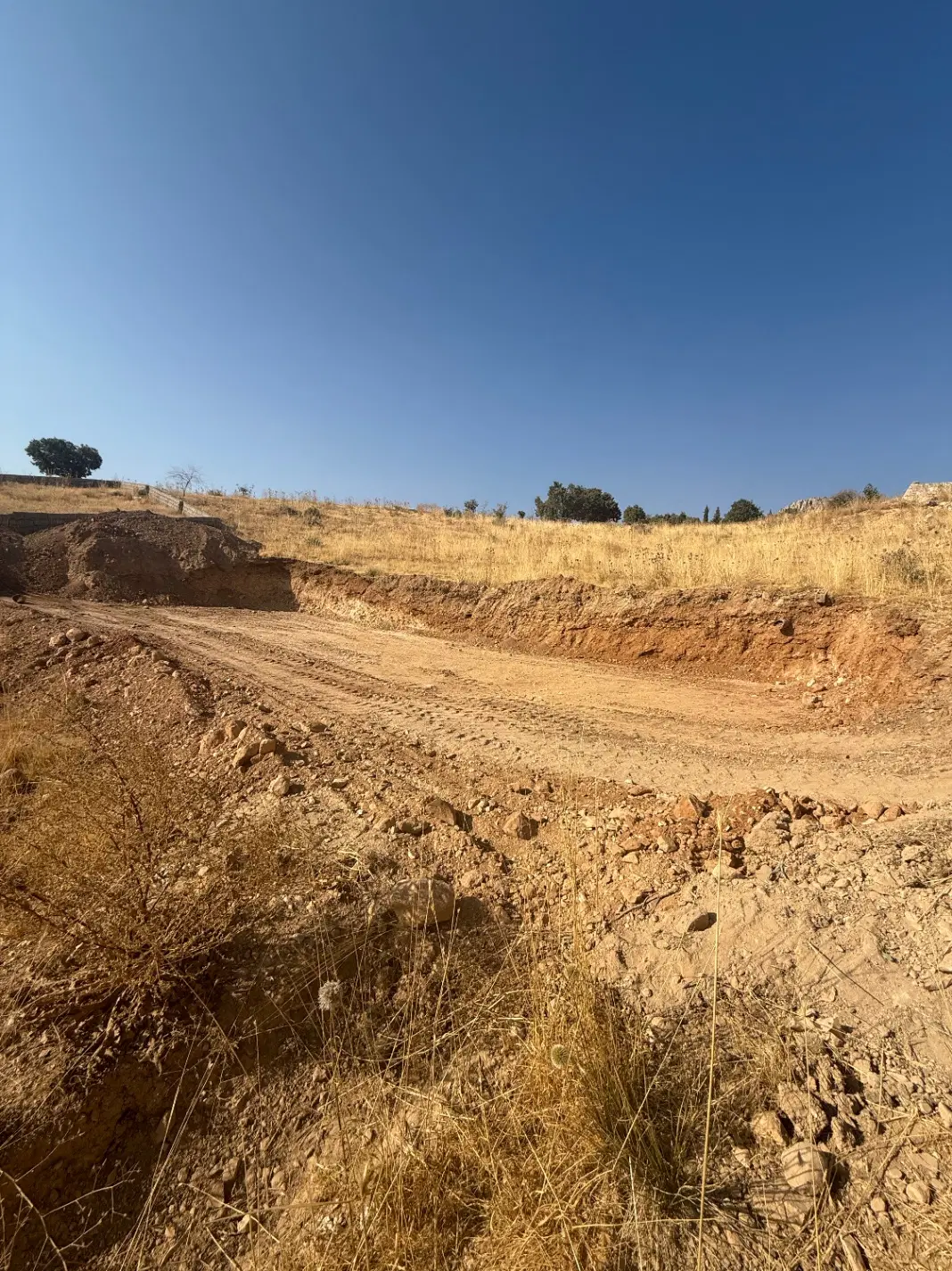 زمین معصوم اباد یاسوج