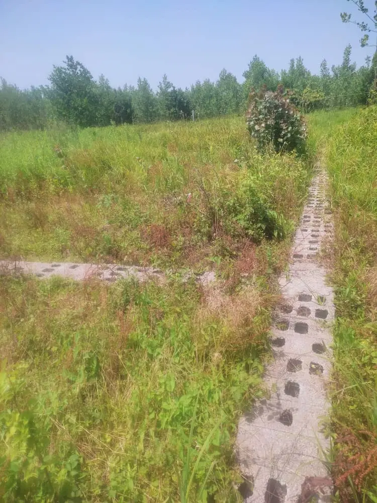 زمین ۲۸۰متری