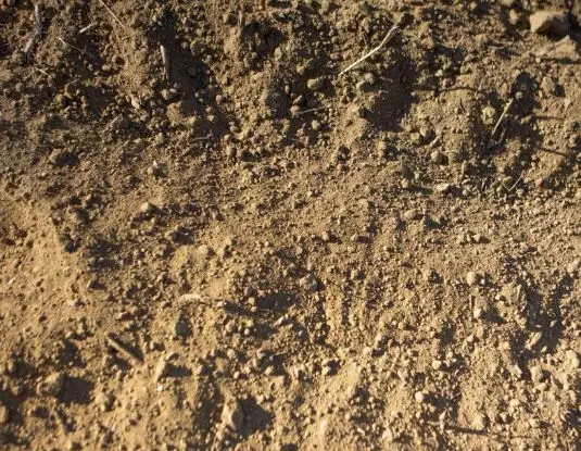 زمین مسکونی بخشان