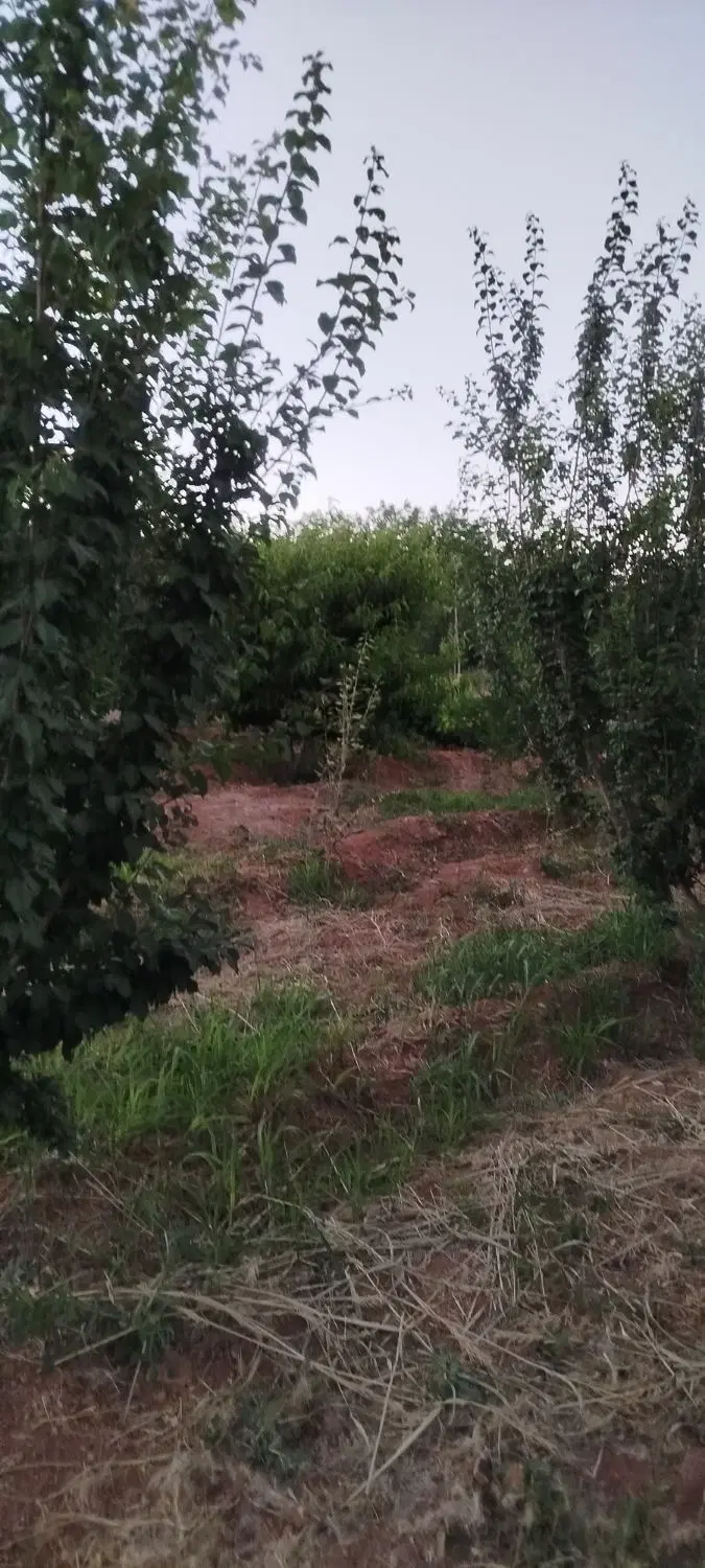 باغات زیبا شهرکرد