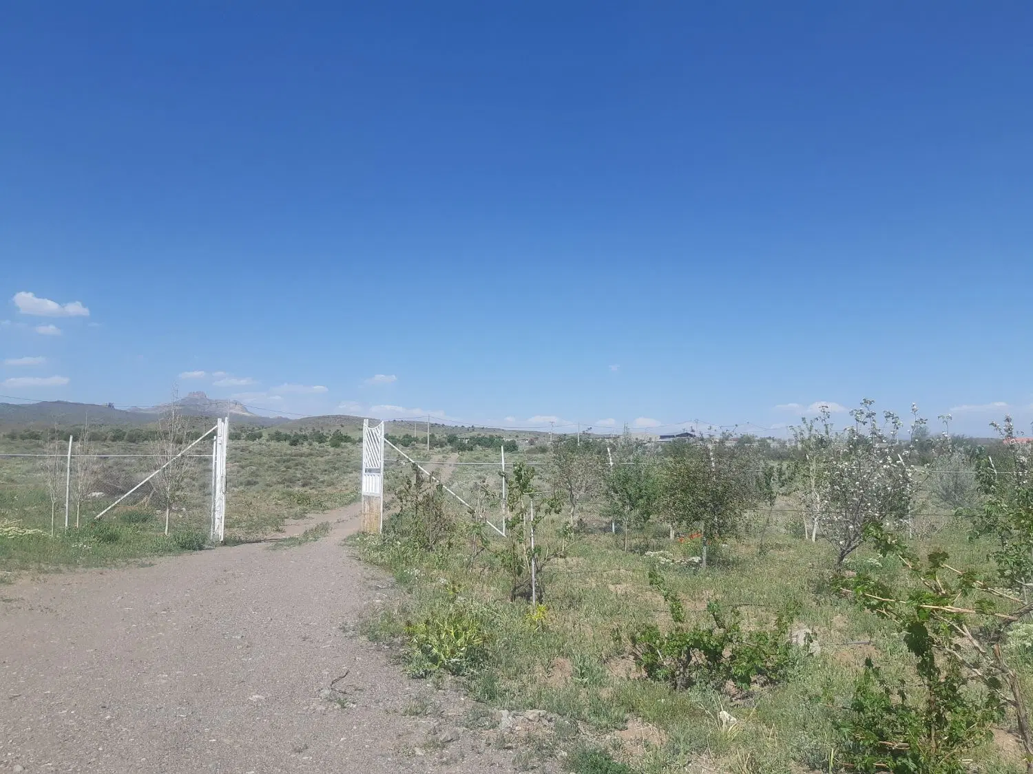 خانه باغ روستای نصیرآباد روبروی بیدخواب