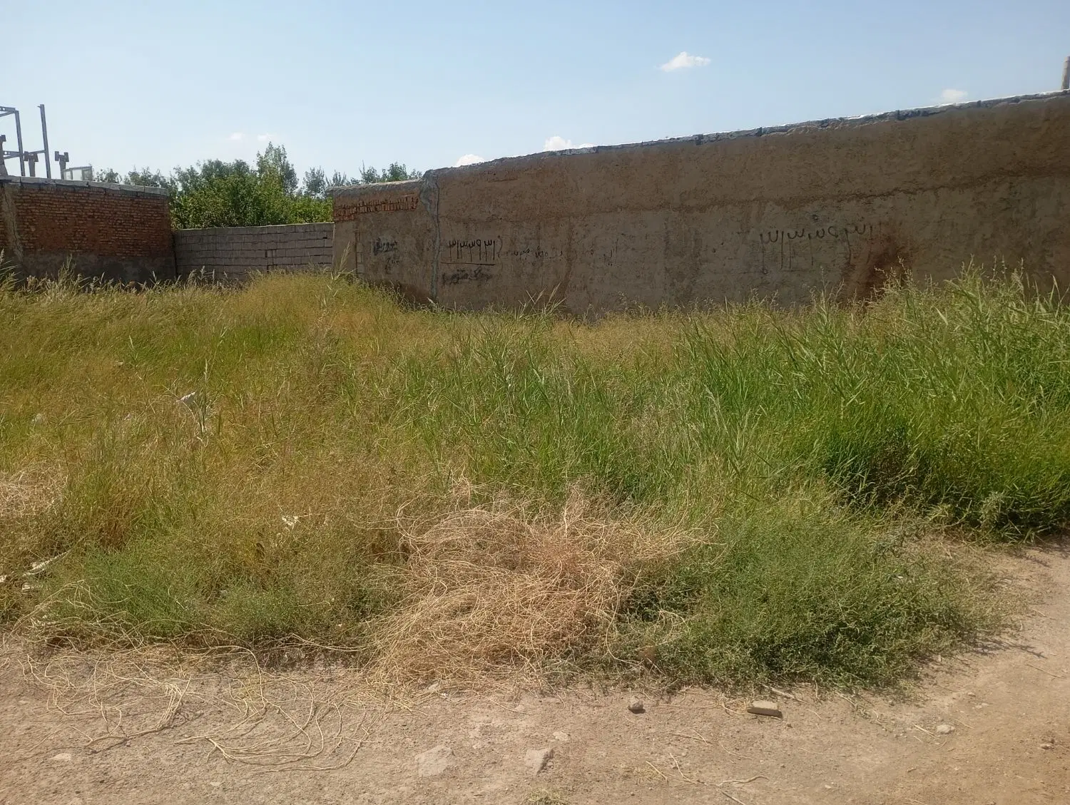 زمین