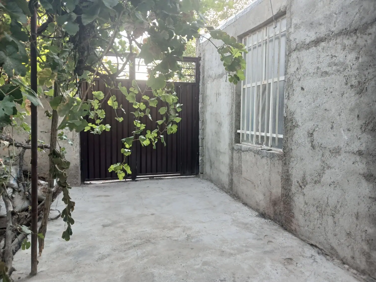 باغچه فروش معاوضه ملارد صالح اباد