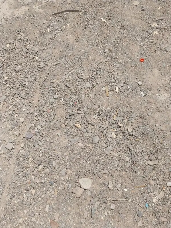 زمین مسکن ملی بم