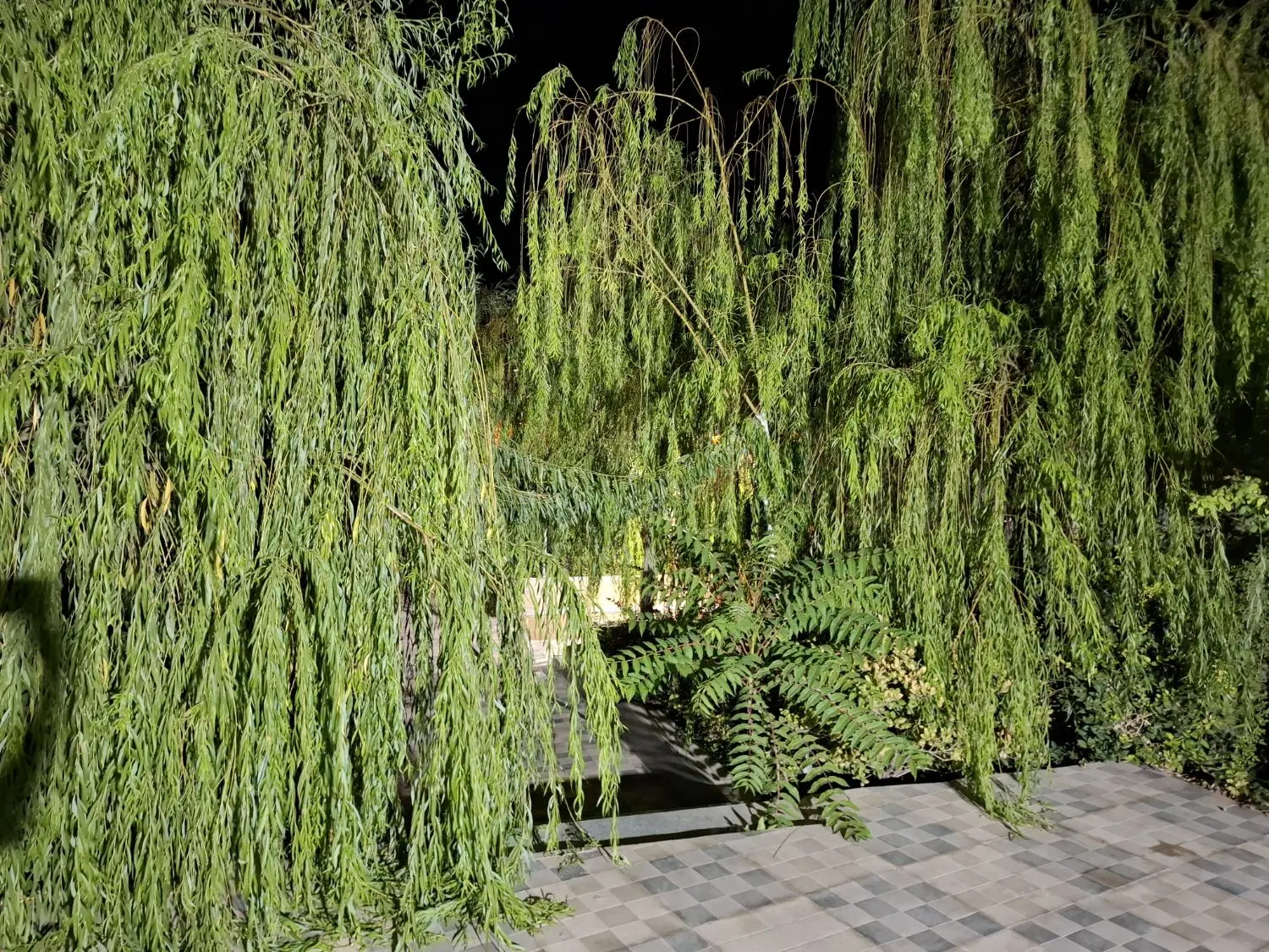 باغچه تزیینی