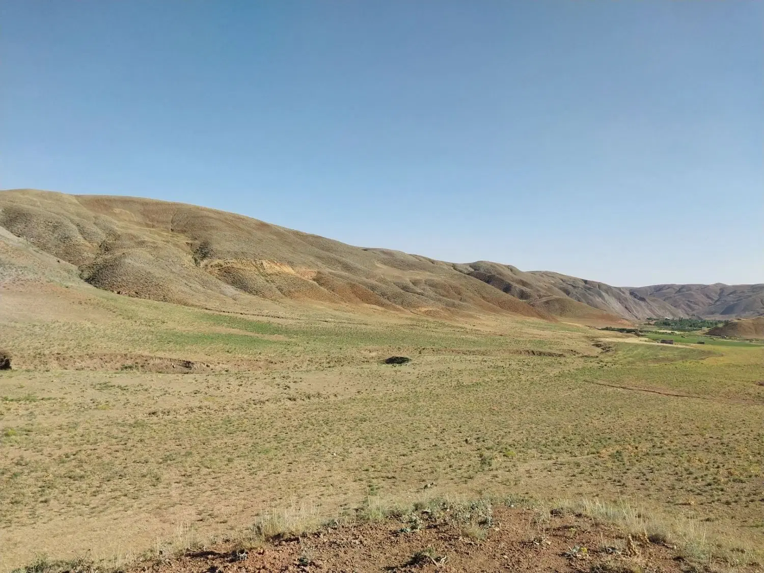 زمین باغ ویلا