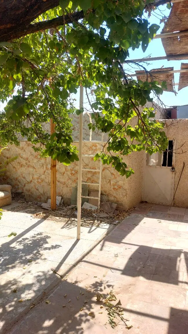 یک باب باغ