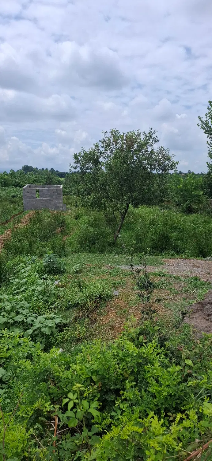 زمین مسکونی چماچا