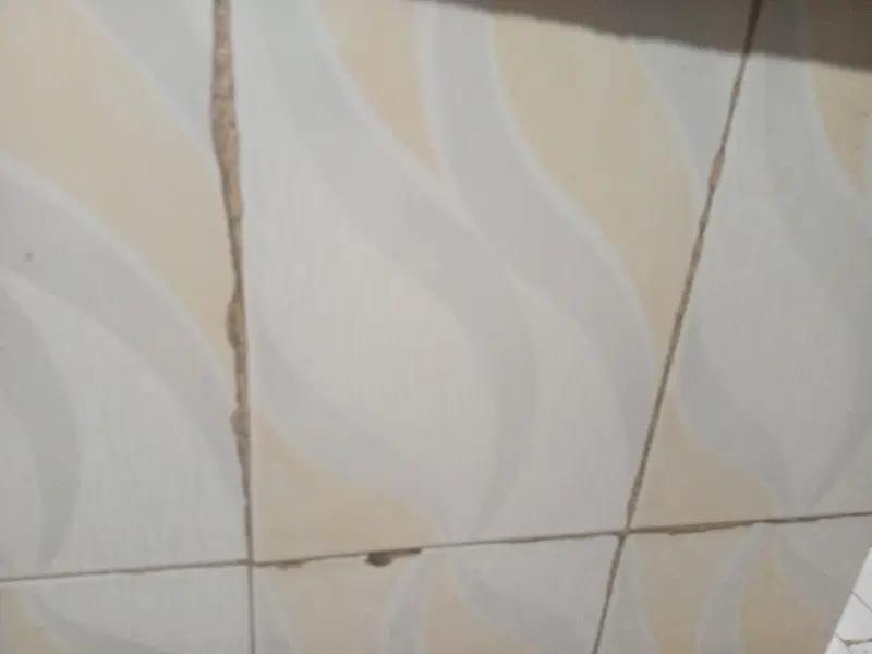 ملک فرسوده با موقعیت تجاری_پزشکی فلسطین