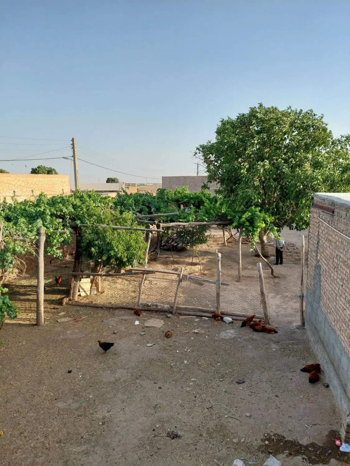 خونه در روستای سرسبز قدیم آباد قزوین