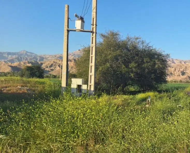 اجاره زمین کشاورزی در شهرستان دشتستان  بوشهر