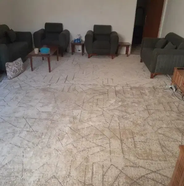همخانه همخونه