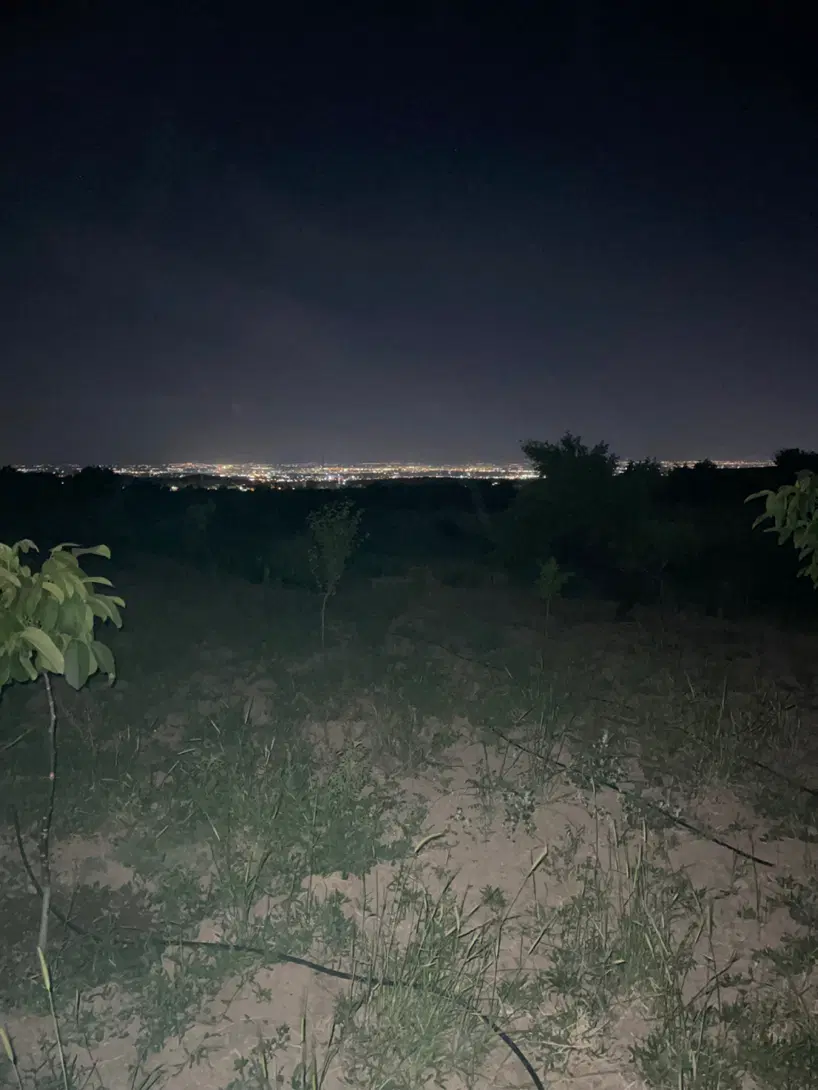 باغ زیبا در شفیع آباد