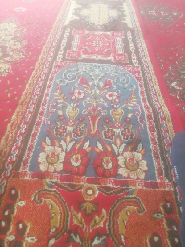 زمین سند دار
